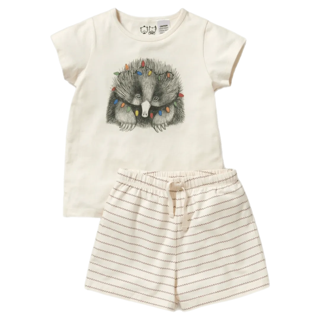 Christmas Short Sleeve Pyjamas - Puggle